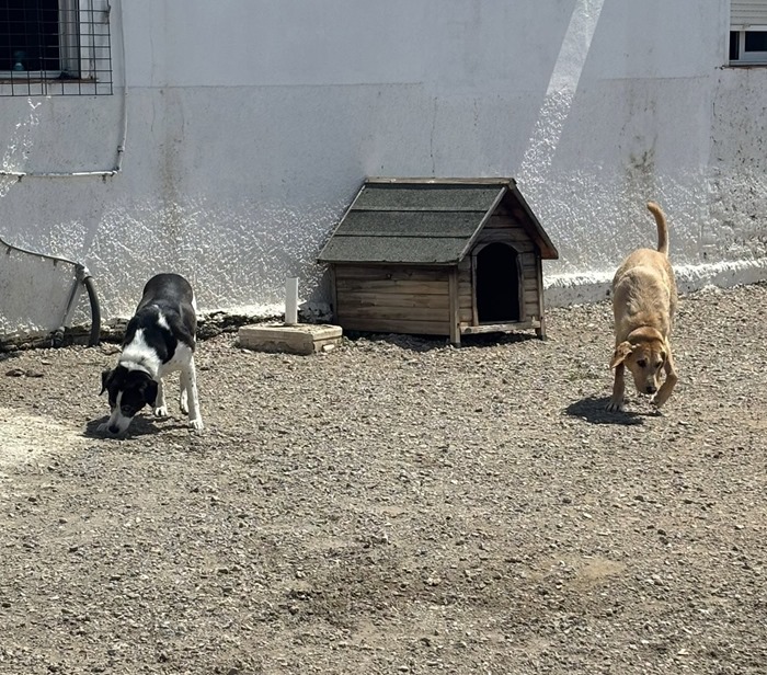 80141a67-cf2c-4736-8f46-ceb116fcdd40