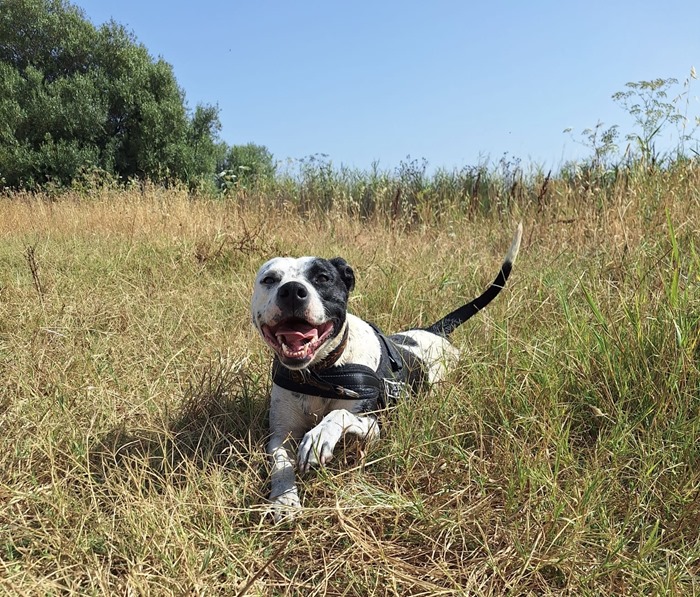 83f8cb21-5fcf-46d3-8df5-a3ee6349e949