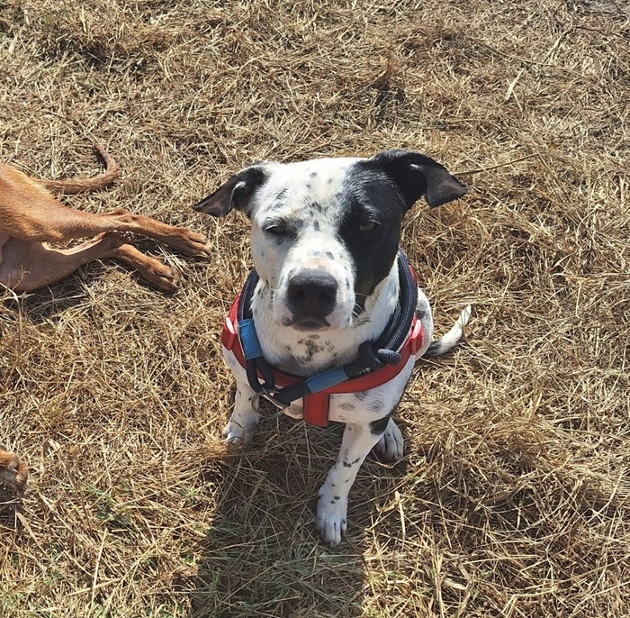 856ff7de-6adb-4513-8735-6eac062871da