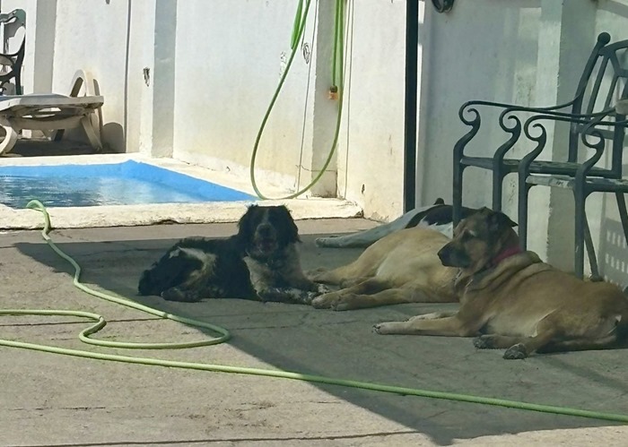 86761302-d827-4926-bbad-1a74209d39a6