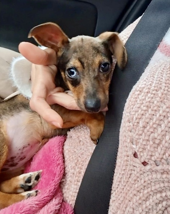 8846542b-29c2-4cb4-91c2-aa86576845d8