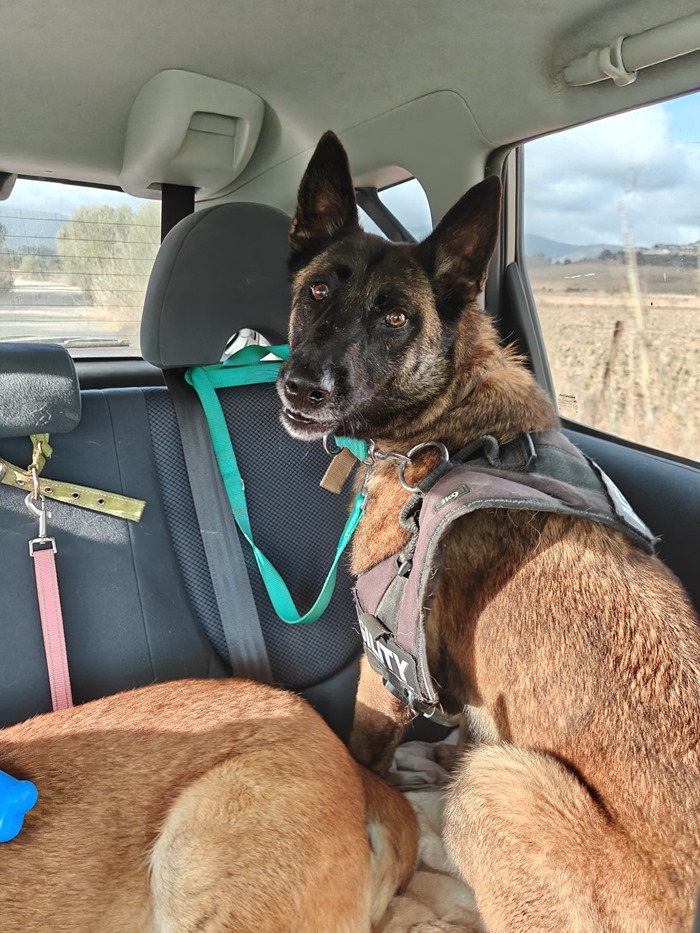 88b50301-1058-4b74-a5f5-81b578c103af