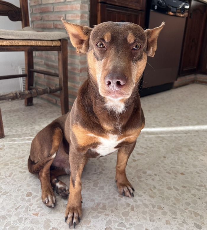 8d3e0ac4-635a-40c6-ad44-e8aee5897019