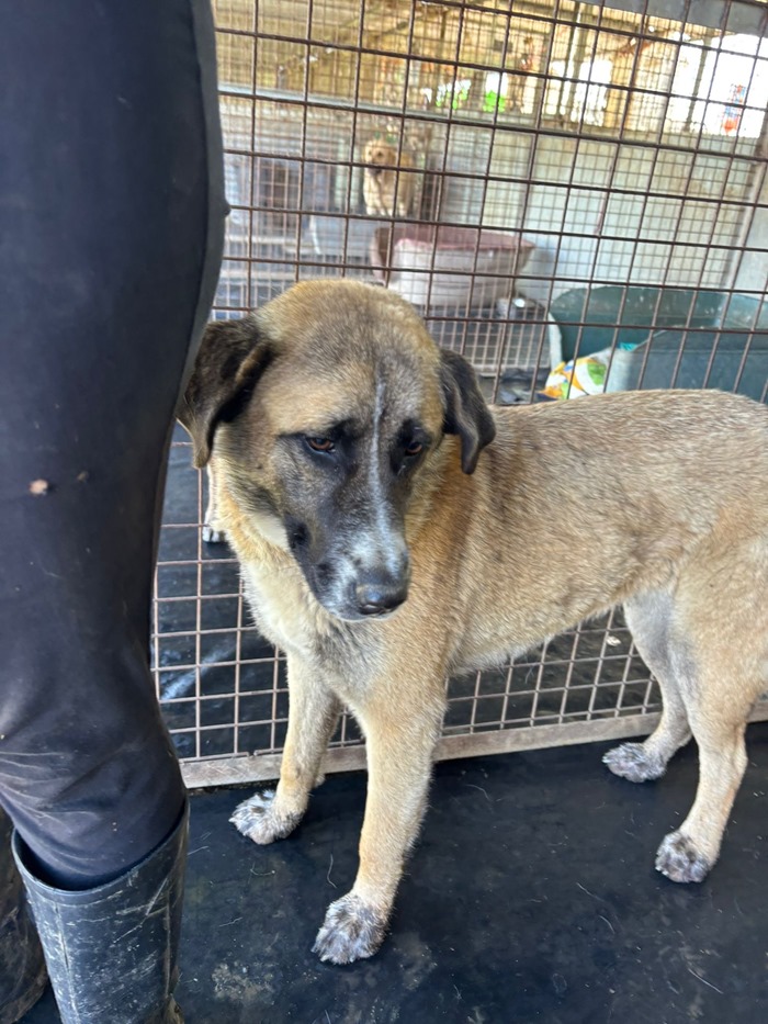 8f3a1a5a-36ff-49d9-a87a-09b725892e26