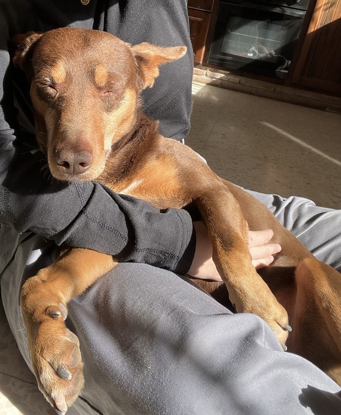 8fcd2c4d-a196-43a4-9165-f40b246e41ab