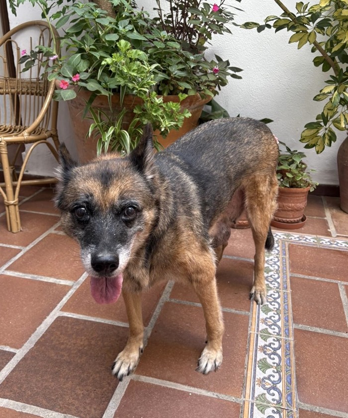 97afbebb-db45-4581-aed4-14e2da5fe032