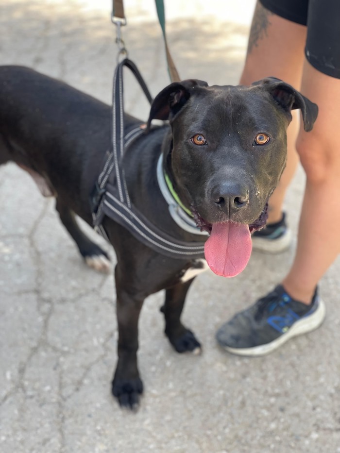 98a749db-39c8-4dc3-96b6-5a97614176d1