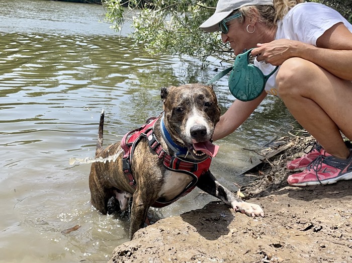 FullSizeRender(31)-compressed