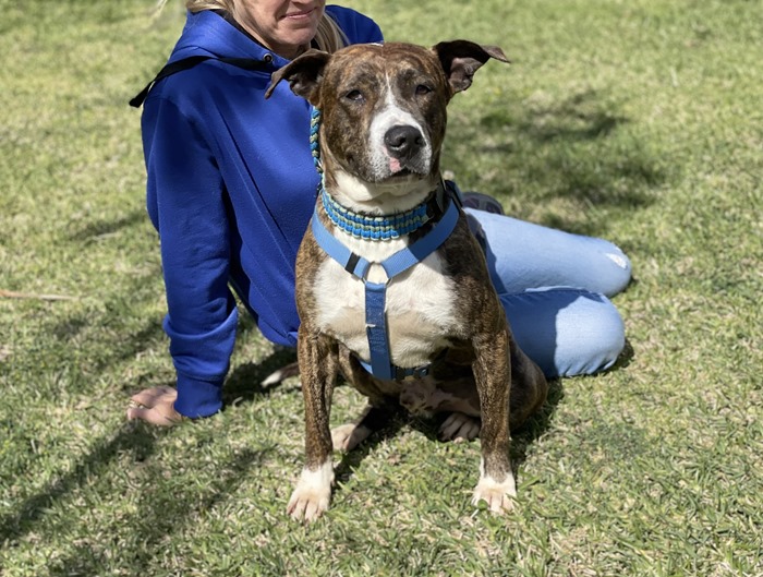 FullSizeRender(4)-compressed