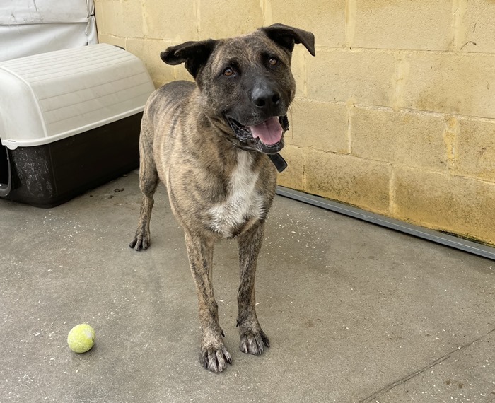 FullSizeRender(5)-compressed (1) (1)