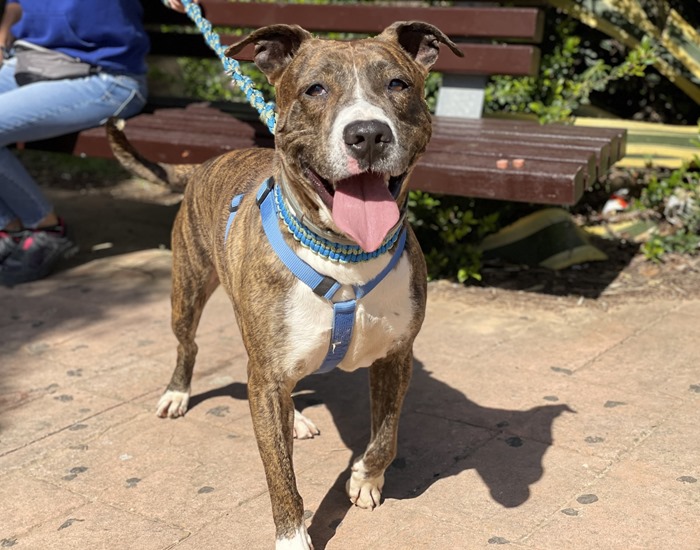 FullSizeRender(8)-compressed