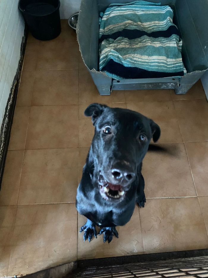 PHOTO-2025-11-21-14-46-18