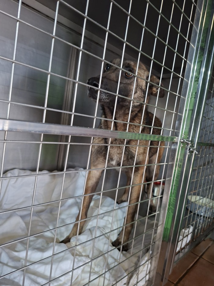 PHOTO-2026-03-01-12-31-48 (1)