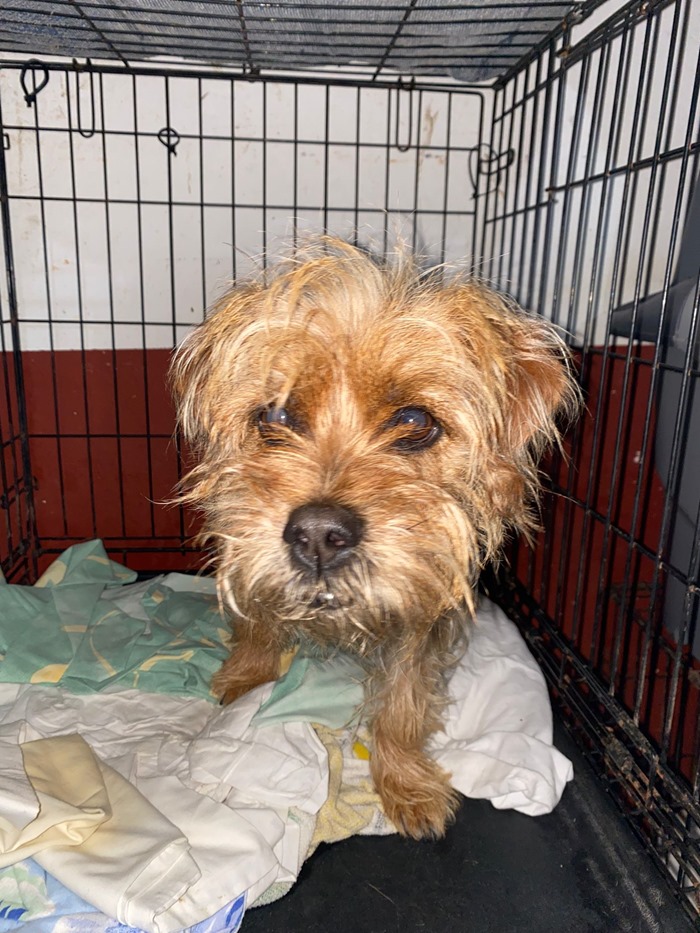 PHOTO-2026-03-05-09-32-52 (1)