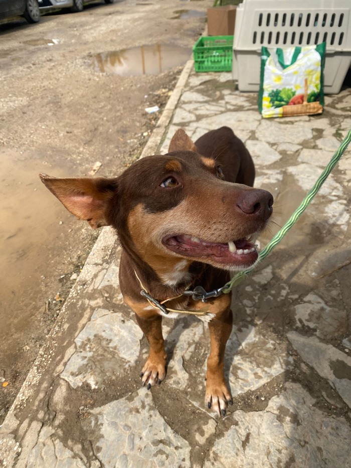 PHOTO-2026-03-10-09-39-51