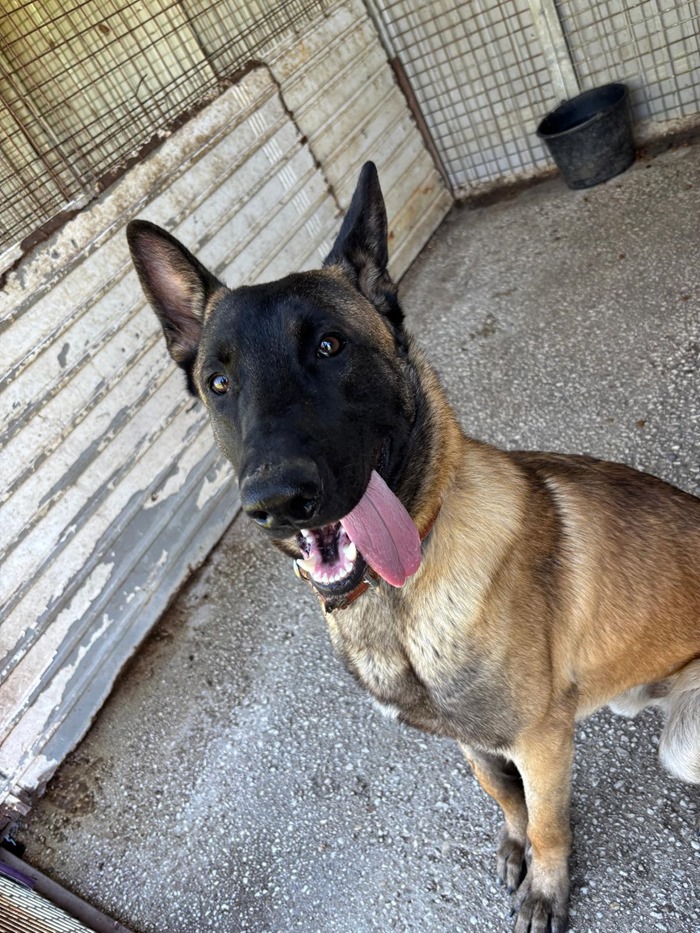 PHOTO-2026-03-26-14-19-35