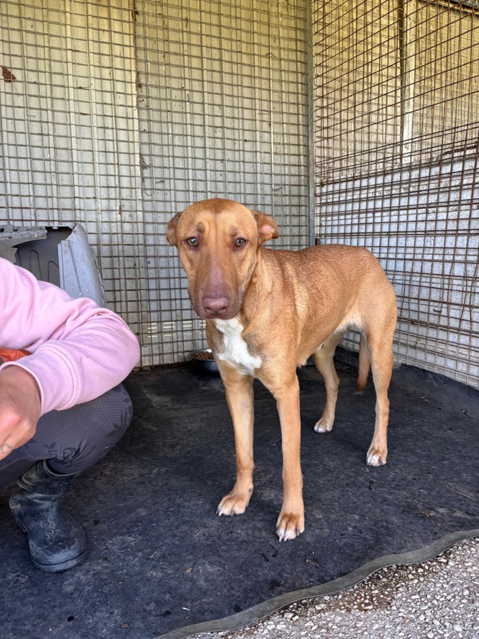 PHOTO-2026-04-01-13-54-40 (1)