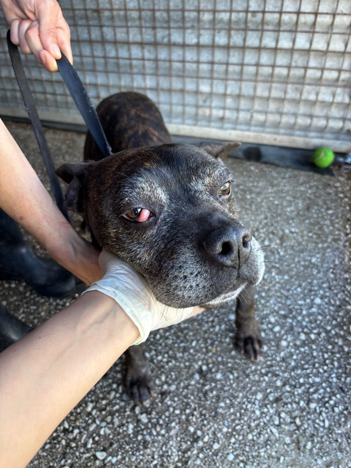 PHOTO-2026-04-02-10-54-20 (1)