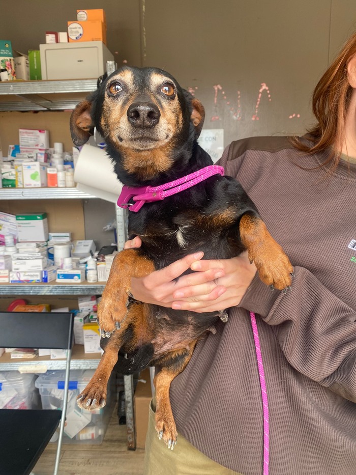 PHOTO-2026-04-09-13-35-44