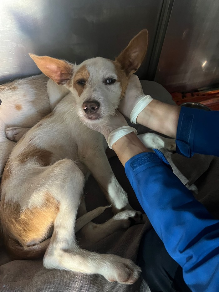 PHOTO-2026-04-16-11-29-35