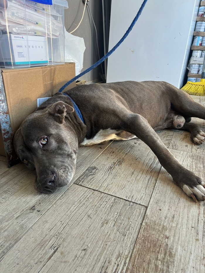 PHOTO-2026-04-16-15-19-57 (1)