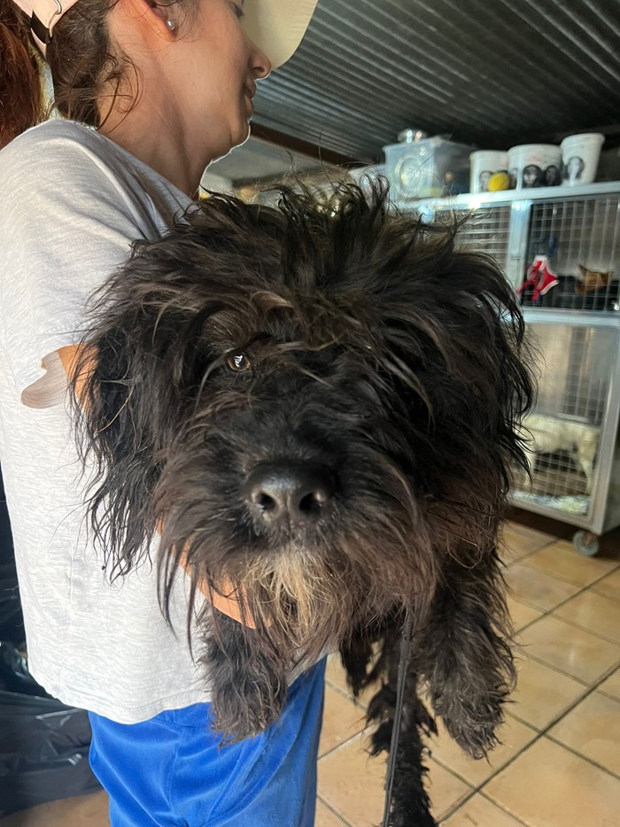 PHOTO-2026-04-21-10-16-35