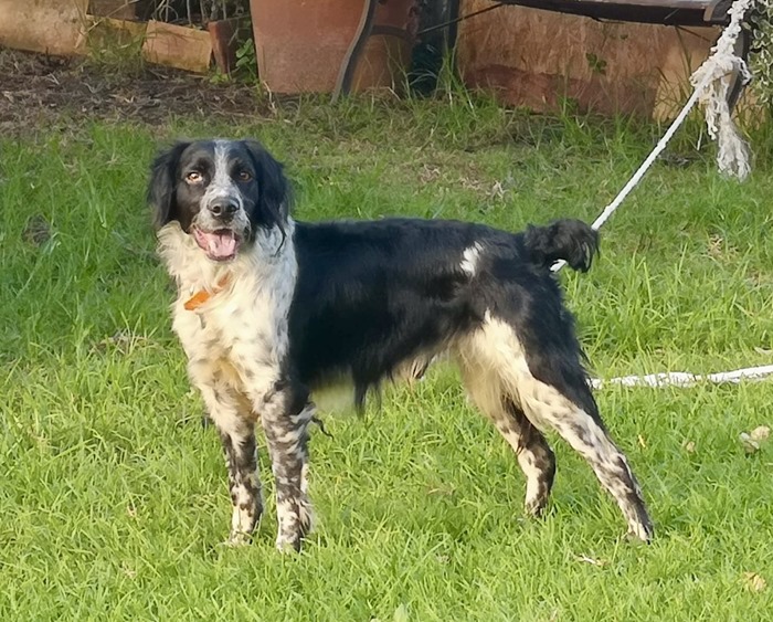 a18b622b-4836-49a3-bf9b-972cdb85bb2e