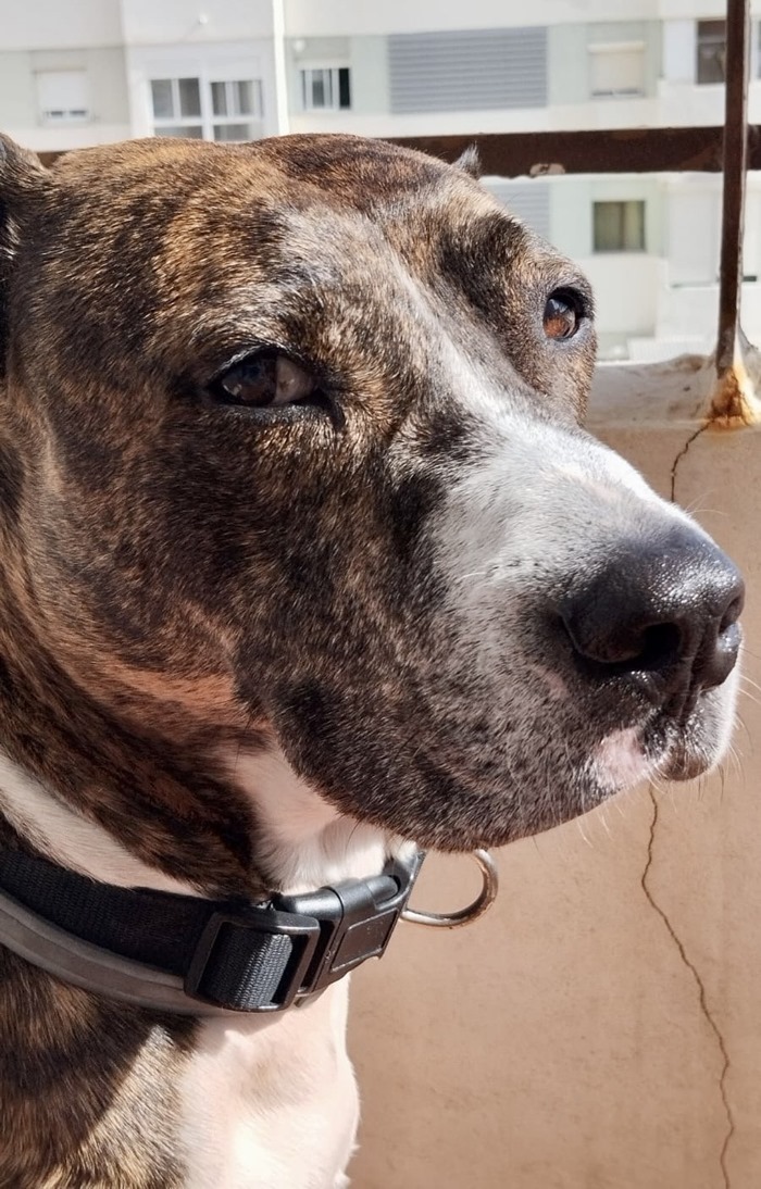 a3bf67d7-ba67-4772-a36b-33942f659da5