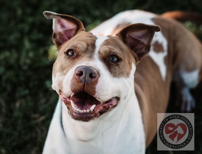 b7e6eb23-4c4f-4296-a0cf-71d2f6b57f29