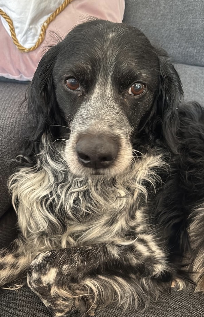 ba17618f-f05e-4213-8aba-082e27eeee79