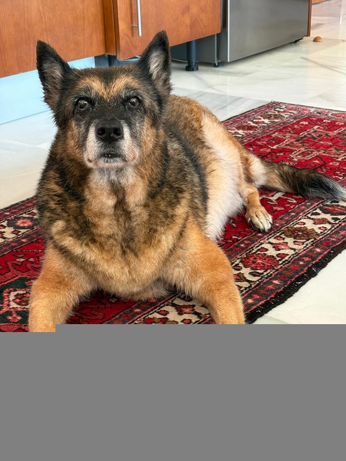 bbb3ecb9-f68b-491d-a9a1-111413df13d3