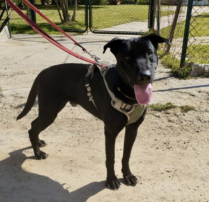 cf722432-a2c3-46a7-b8a3-19d3ea7b51ad