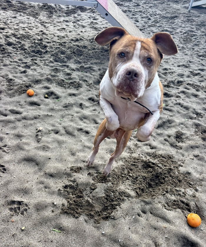 d43f59db-5ca3-447f-a9cf-d9cfb98a9562