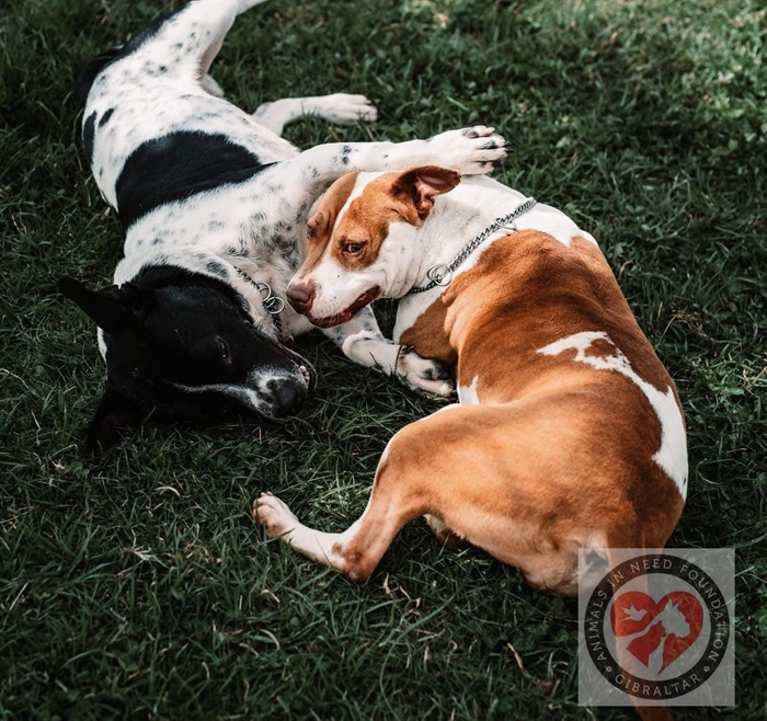 d6d78de4-a4b9-482b-a2fa-3ce899118e8d