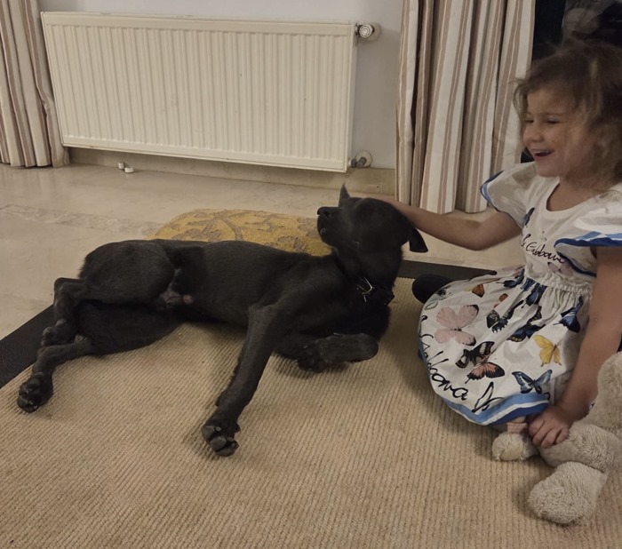 d7333124-2254-4ce8-a017-6701b8dfbf13