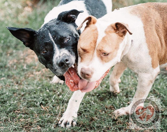 da17d0d1-dfa4-4a7a-a2fb-a13c03a69873