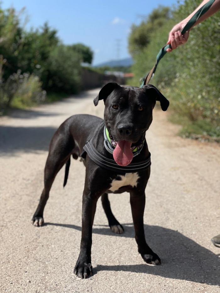 e3cba518-071a-4d3c-afb7-dd90d4c97195