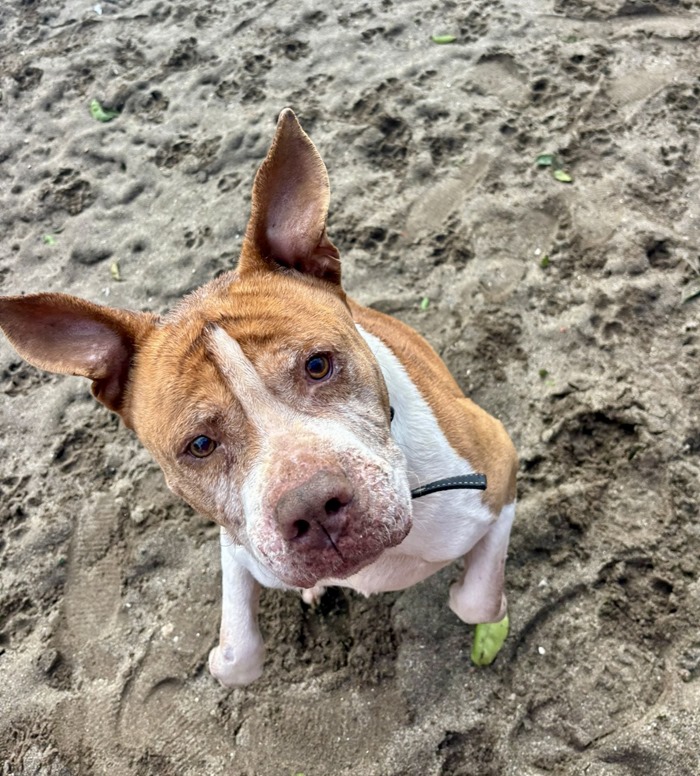 e4ce6df7-f435-44f1-9631-53335909b848