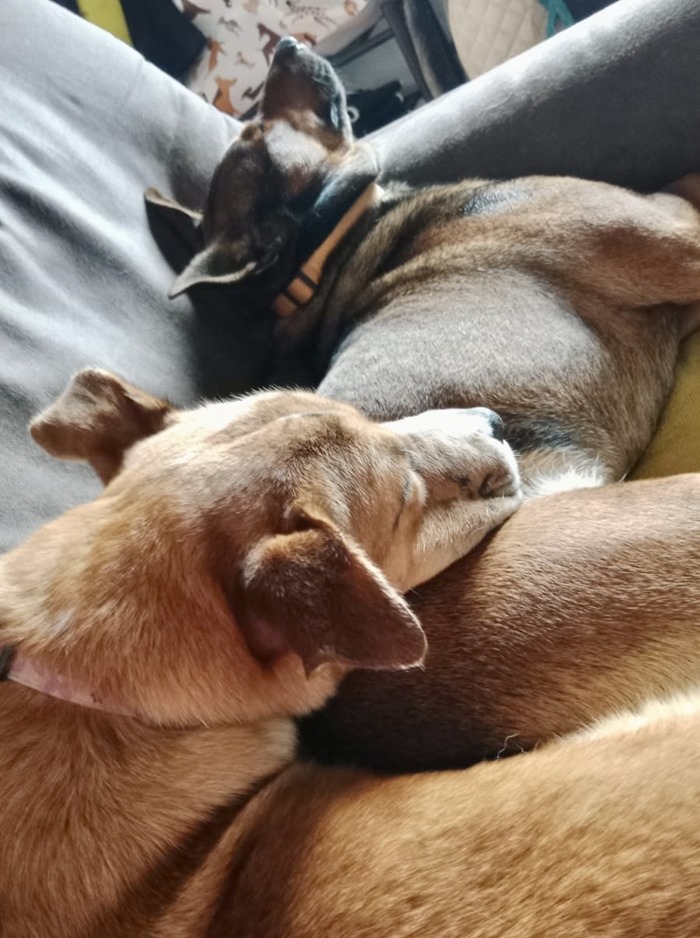 e56bddab-9ece-4f37-a868-10e1a75bd92d