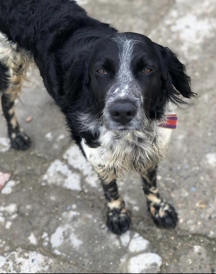 e91f467e-32fa-41a0-874a-5c50fca82714