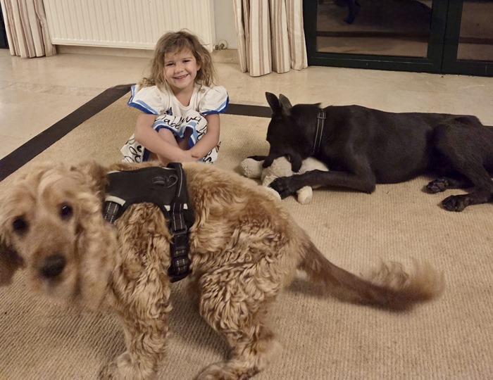 f26d2449-ba52-4f4e-bf43-206f9c308a27