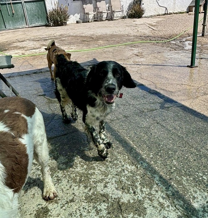 f36e2235-8fa0-420e-bd3a-b28345f25313