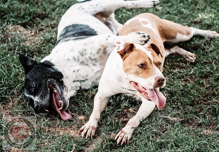 fbd8ff25-b9fe-42d6-b6b6-b99680a4c0a3